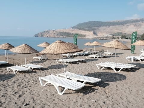 Shots from the Beach